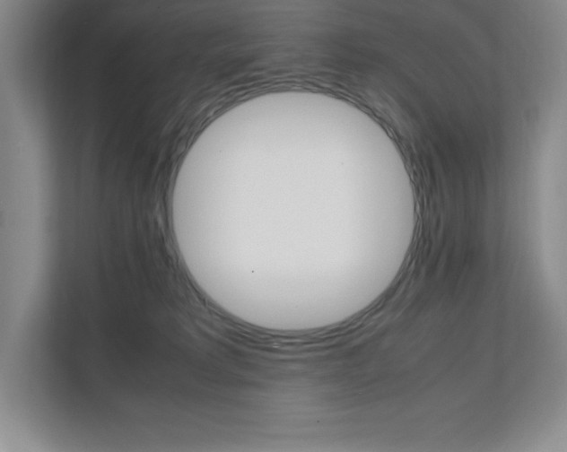X0000112040229200908031048