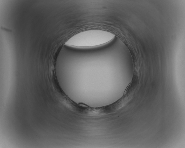 X0000112040235200908031048