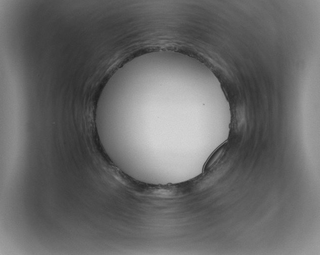 X0000112040236200908031048