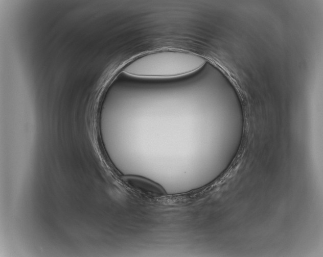 X0000112040241200908031048