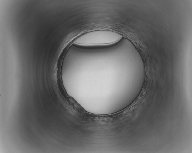 X0000112040242200908031048