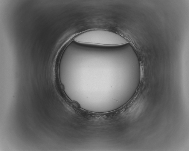 X0000112040243200908031048