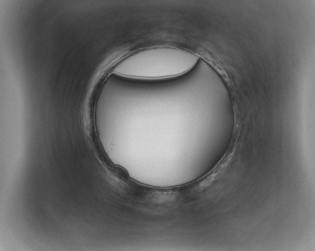 X0000112040245200908031048