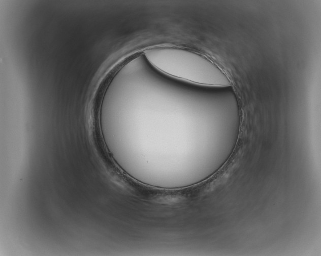 X0000112040247200908031048