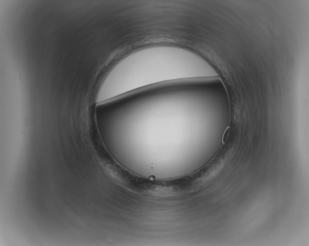 X0000112040256200908031048