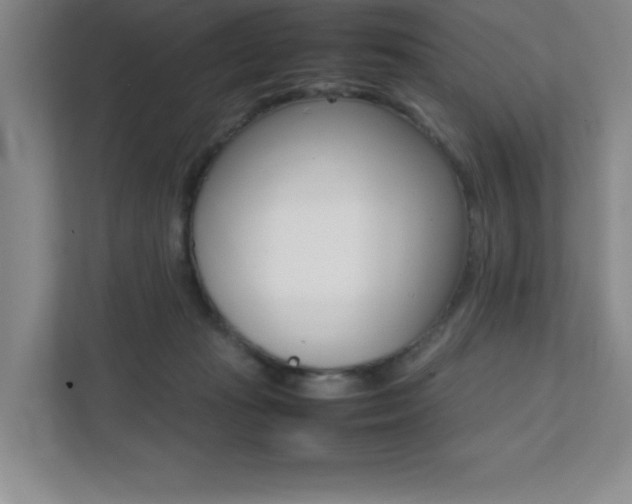 X0000112040269200908031048