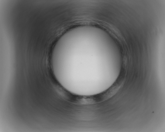 X0000112040270200908031048