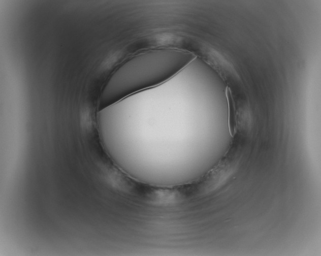 X0000112040272200908031048