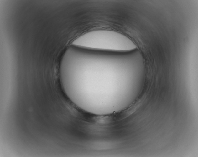 X0000112040273200908031048