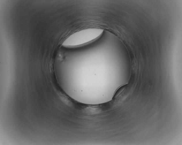 X0000112040280200908031048