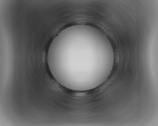 X0000112040283200908031048