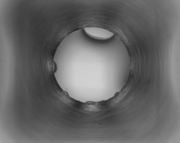 X0000112040285200908031048