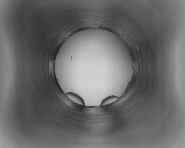 X0000112040286200908031048