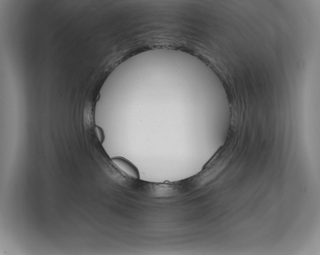X0000112040287200908031048
