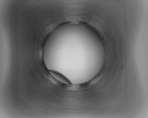 X0000112040288200908031048