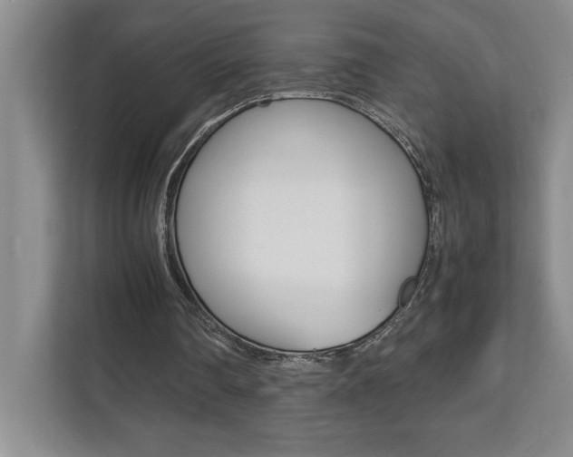 X0000112040290200908031048