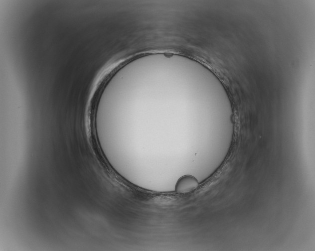 X0000112040294200908031048