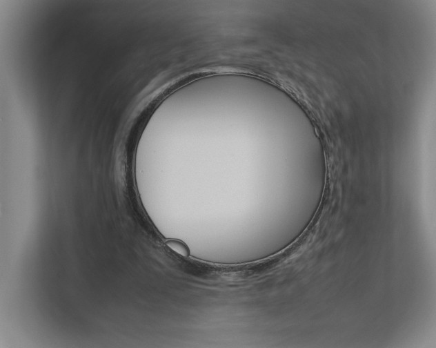 X0000112040295200908031048