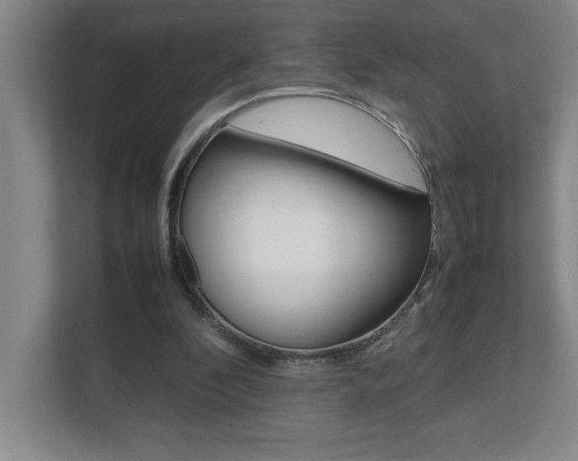 X0000112040296200908031048