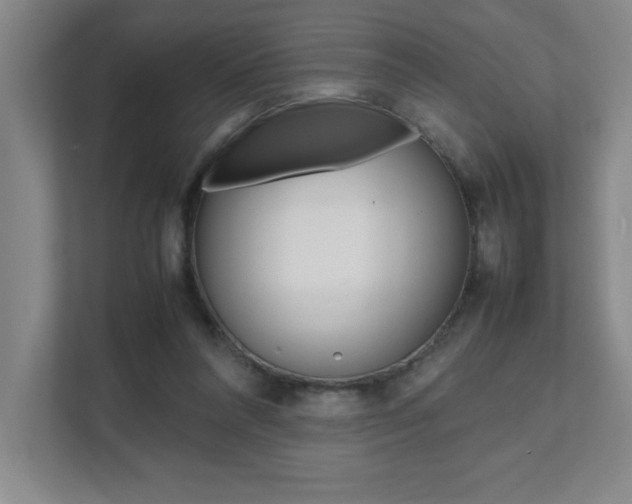 X0000112040304200908031047