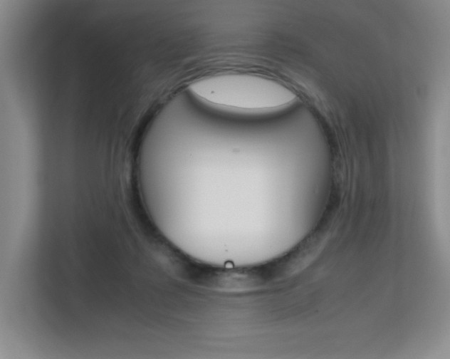 X0000112040315200908031047