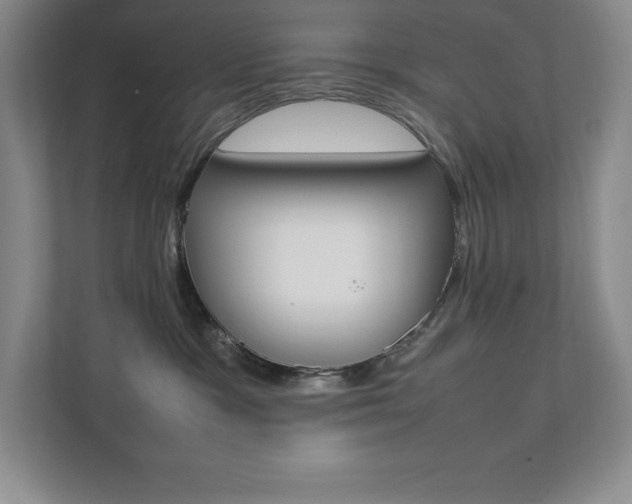 X0000112040333200908031047