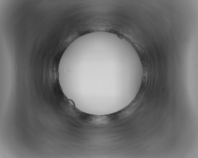 X0000112040334200908031047