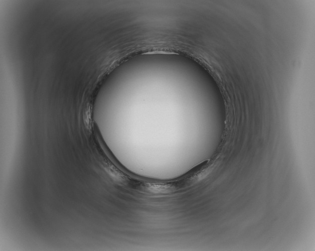 X0000112040336200908031047