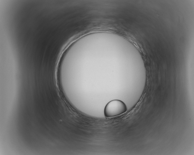 X0000112040340200908031046
