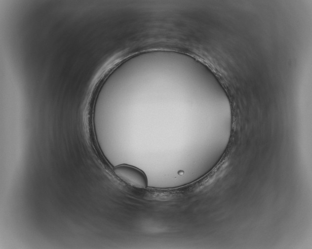 X0000112040341200908031046