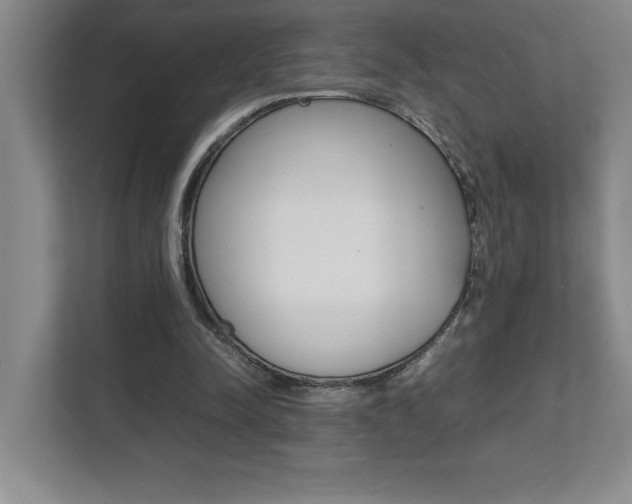 X0000112040342200908031046
