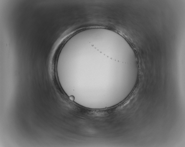 X0000112040343200908031046