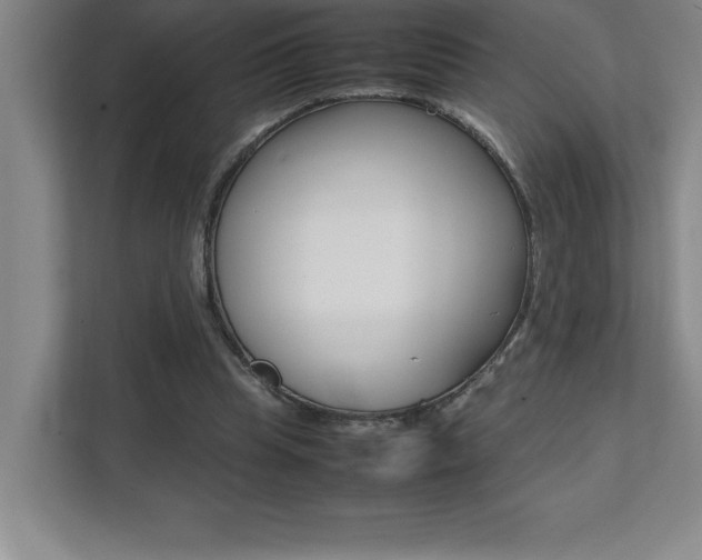 X0000112040345200908031046