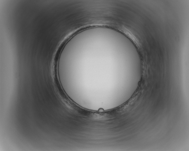 X0000112040346200908031046