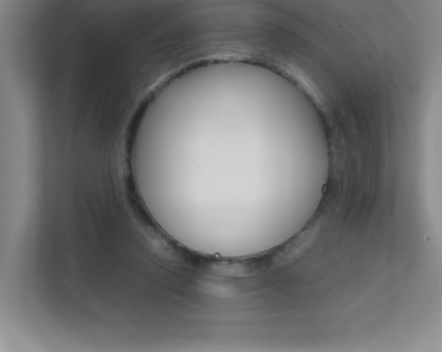 X0000112040354200908031047