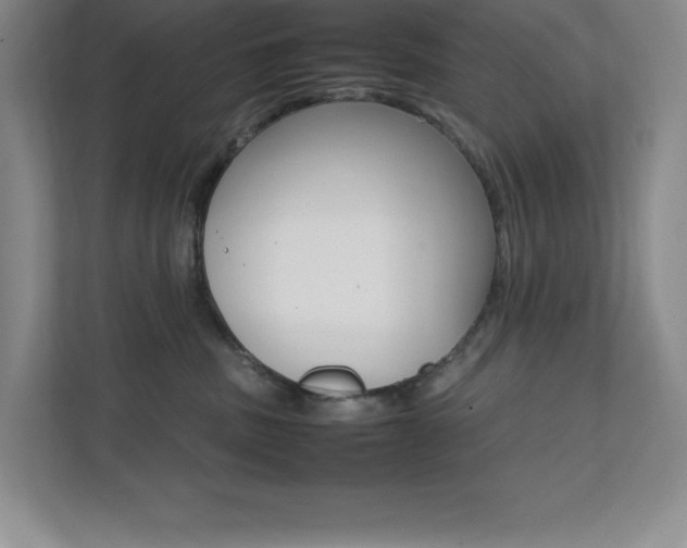 X0000112040379200908031047
