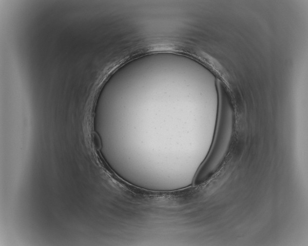 X0000112040385200908031046