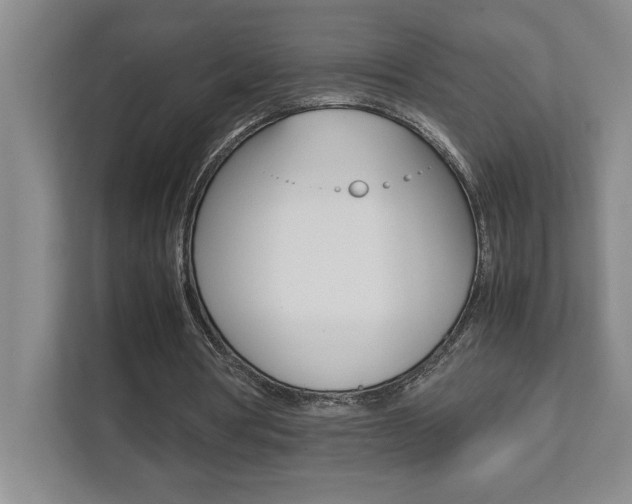 X0000112040386200908031046