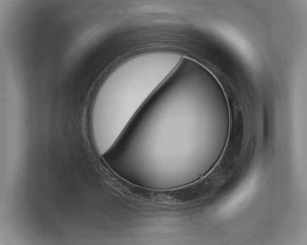 X0000112040387200908031046