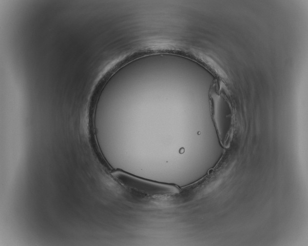 X0000112040391200908031046