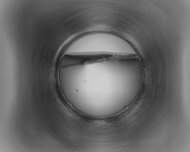 X0000112040392200908031046