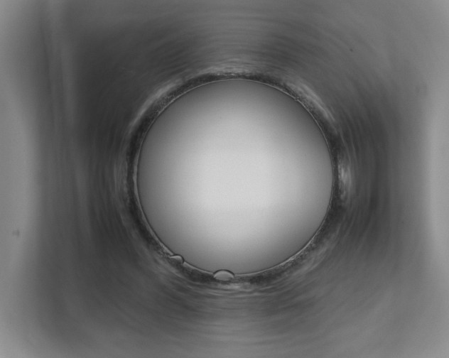 X0000112040396200908031046