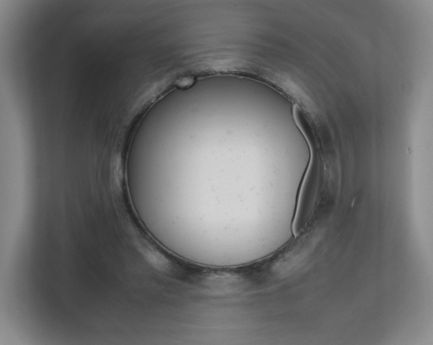 X0000112040397200908031046