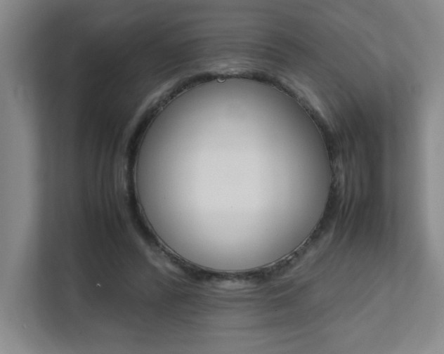 X0000112040400200908031046