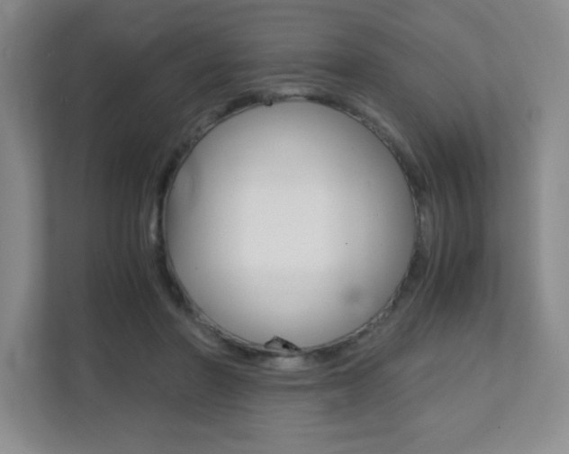 X0000112040406200908031046