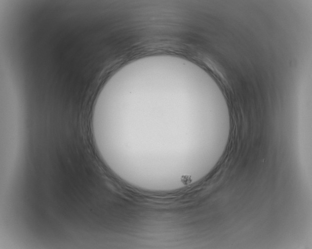 X0000112040407200908031046