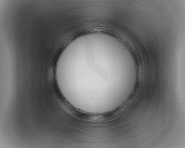 X0000112040410200908031046