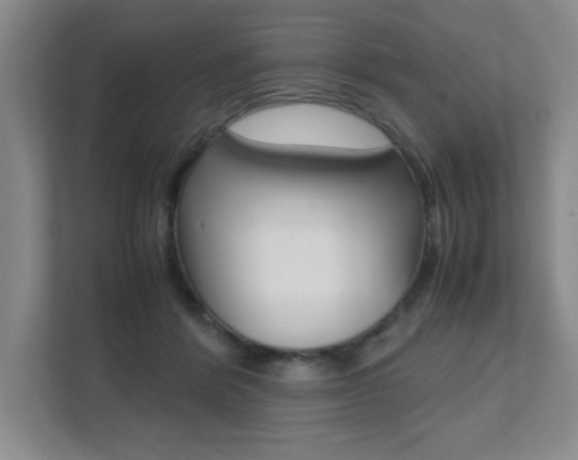 X0000112040412200908031046
