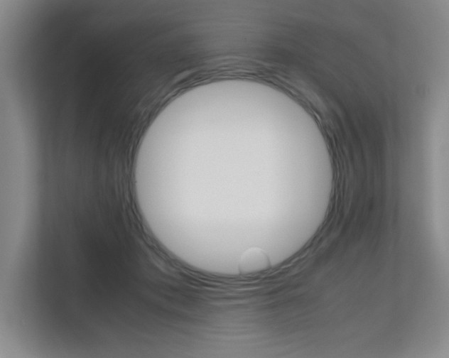 X0000112040413200908031046