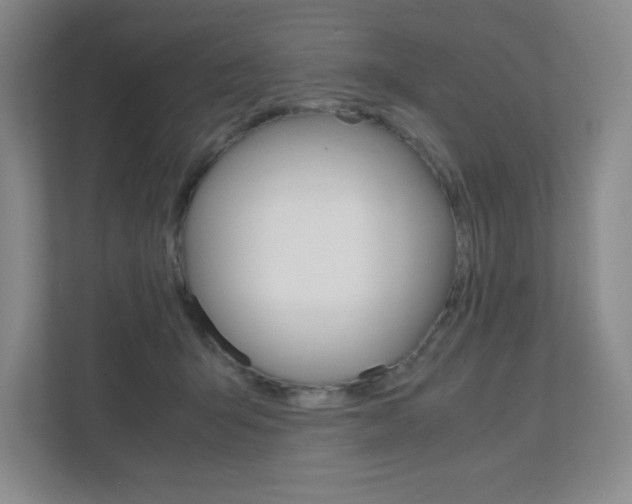 X0000112040415200908031046
